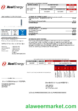 USA Xcel Energy business utility bill Word and PDF template